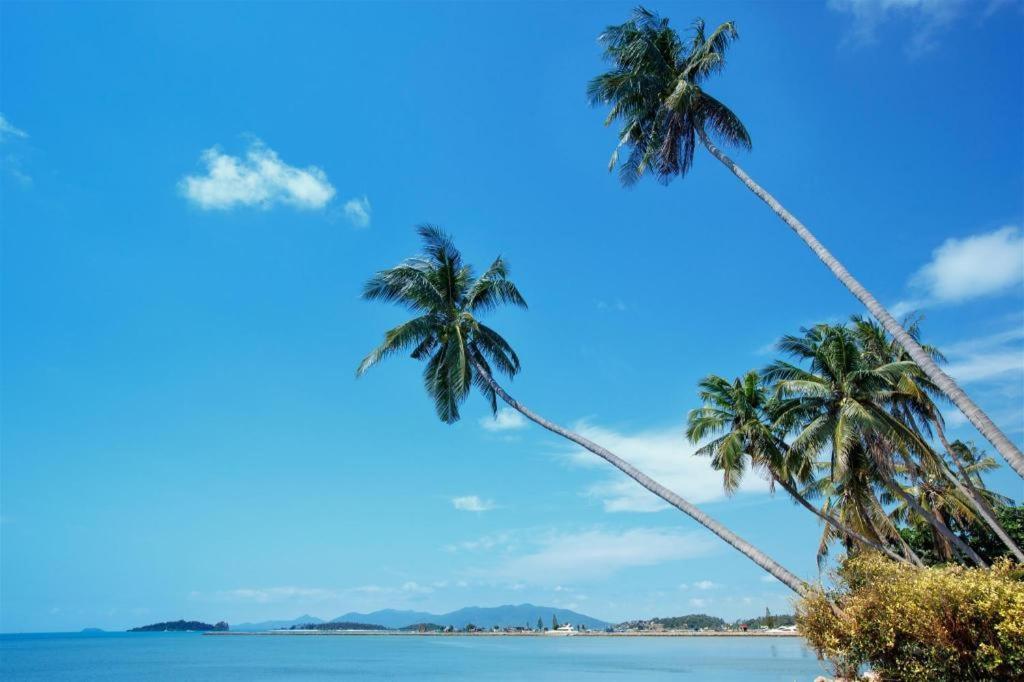 Mm House Hotel Koh Samui Ngoại thất bức ảnh